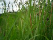 Фотография Юферевой Зои