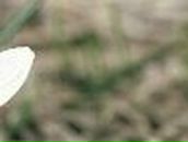 Наталі Маргіта фотография #29 (источник - https://vk.com/id65971534)