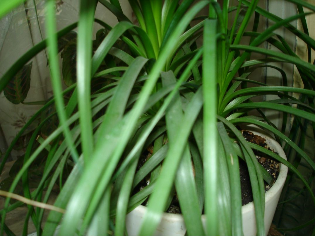 Вася Баторейкин фотография #2