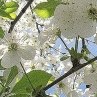 Дана Петріна фотография #23 (источник - https://vk.com/id167201289)