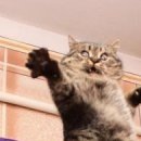 Сергій Стасюк фотография #25 (источник - https://vk.com/id154474535)