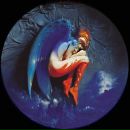 Фотография Родикова Александра