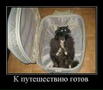Дмитрий Зацепин фотография #38 (источник - https://vk.com/id2664635)