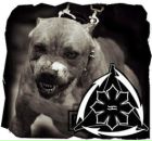 Фотография Максима Максима