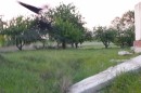 Максім Декалюк фотография #11 (источник - https://vk.com/id68386402)