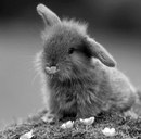 Вікторія Яворська фотография #19 (источник - https://vk.com/id147996855)