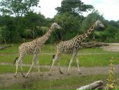 Фотография Тупиковой Анны Михайловны