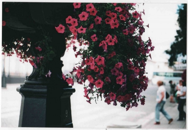 Сергей Арефьев фото №2