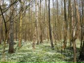 Наталія Герасименко - Басюк фотография #37 (источник - https://vk.com/id8110986)