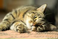 Фотография Крыловой Виктории