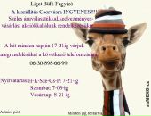 Фотография Мурашкиной Олеси