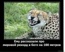 Андрій Жовтко фотография #46 (источник - https://vk.com/id76902260)
