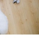 Міша-Іра Павлик фотография #15 (источник - https://vk.com/id42441609)