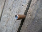 Фотография Чепелкиной Ирины