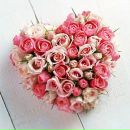 Лінуся Приходько фотография #18 (источник - https://vk.com/id172805082)