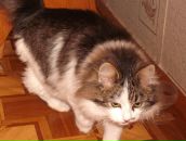 Андрій Василинин фотография #37 (источник - https://vk.com/id140397277)