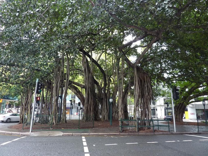 Елизавета Матвеенко фотография #42