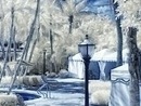 Віталік Ірисов фотография #15 (источник - https://vk.com/id96909695)