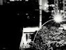 Анастасия Κиселева фотография #47 (источник - https://vk.com/id143638761)