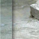 Віталій Каракай фотография #8 (источник - https://vk.com/id113544067)