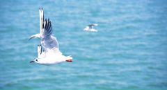 Антон Иванов фотография #11 (источник - https://vk.com/id1351221)