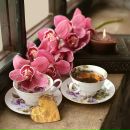 Фотография Омурбаевой Аллы