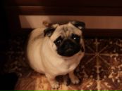 Фотография Медведевой Ани