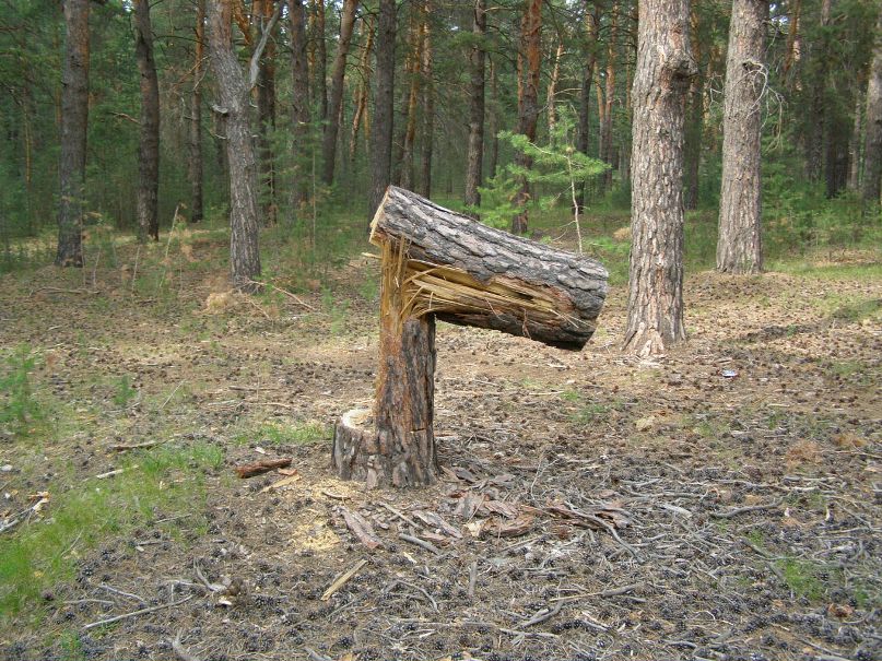 Александр Лёвин фотография #44