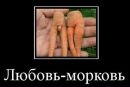 Фотография Первого Александра