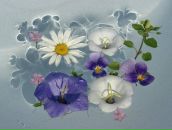 Фотография Ескиной Екатерины