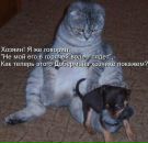 Алина Українка фотография #38 (источник - https://vk.com/id8172251)