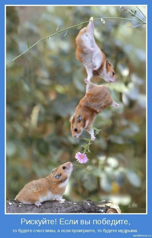 Vadim Tim фотография #49