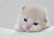 Дмитрий Скороходов фотография #3 (источник - https://vk.com/id819303)