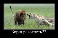 Фотография Захаровой Ксении