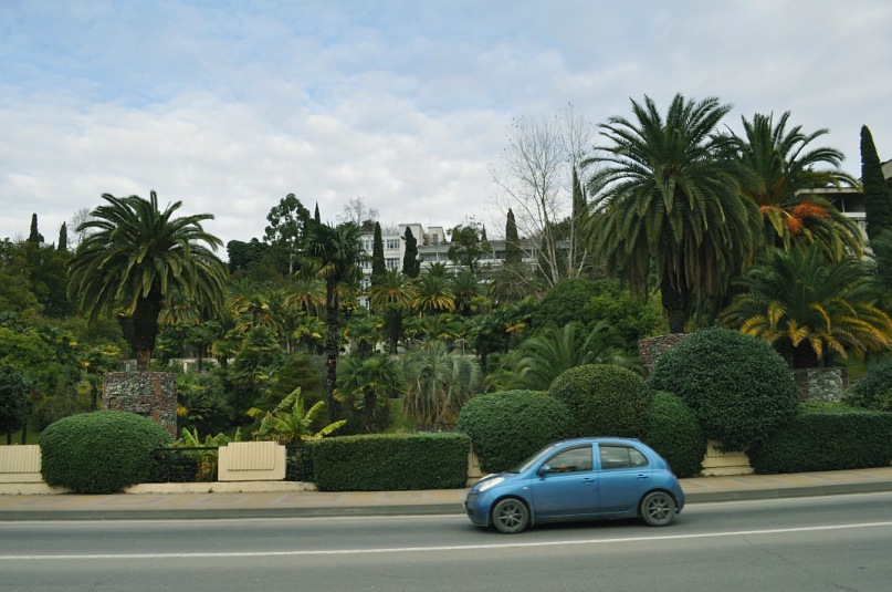 Миша Михайличенко фотография #30