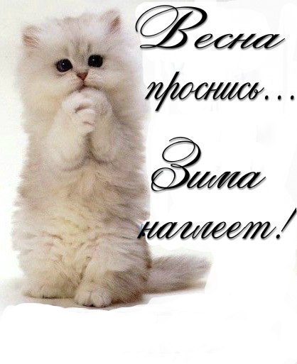 №10, Надежда Калинина №10, Надежда Калинина