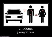 Фотография Шумилина Дениса