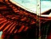 Elina Sirotkina фотография #15 (источник - https://vk.com/id30561662)