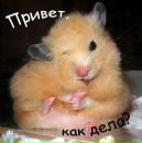 Віталік Бойчук фотография #20 (источник - https://vk.com/id157088332)