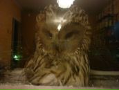 Фотография Новиковой Марины