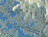 Олена Кошіль фотография #47 (источник - https://vk.com/id66648342)