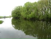 Елена Малыхина фотография #41 (источник - https://vk.com/id758941)