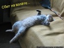Фотография Зезюкина Андрея