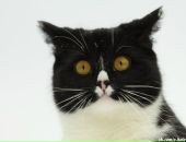 Фотография Колосова Сергея