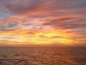 Сергей Трофимов фотография #42 (источник - https://vk.com/id2961663)