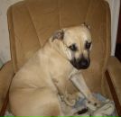 Фотография Назарука Николая