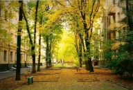 Ilya Kustov фотография #29 (источник - https://vk.com/id1406207)