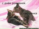 Хіната Хьюго фотография #33 (источник - https://vk.com/id166162751)