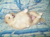 Фотография Торлоповой Людмилы