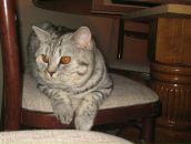 Фотография Тимофеевой Оксаны